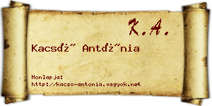 Kacsó Antónia névjegykártya